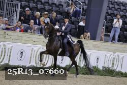 25R13_07660 thumbnail
