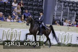 25R13_07663 thumbnail