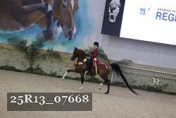 25R13_07668 thumbnail