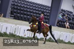 25R13_07670 thumbnail