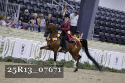 25R13_07671 thumbnail