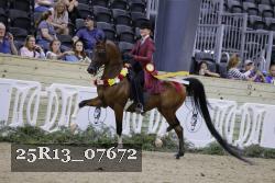 25R13_07672 thumbnail