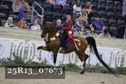 25R13_07673 thumbnail