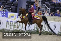 25R13_07674 thumbnail