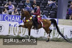 25R13_07675 thumbnail