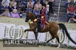 25R13_07677 thumbnail
