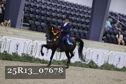 25R13_07678 thumbnail
