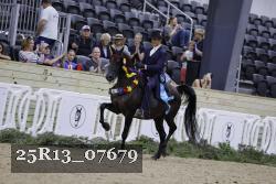 25R13_07679 thumbnail