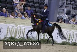 25R13_07680 thumbnail