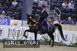25R13_07681 thumbnail