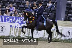 25R13_07682 thumbnail