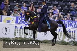 25R13_07683 thumbnail
