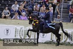 25R13_07684 thumbnail