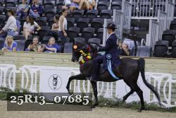 25R13_07685 thumbnail