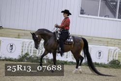 25R13_07688 thumbnail