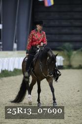 25R13_07690 thumbnail