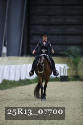 25R13_07700 thumbnail