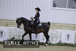 25R13_07703 thumbnail