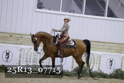 25R13_07715 thumbnail
