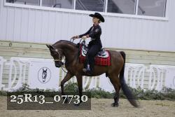 25R13_07730 thumbnail