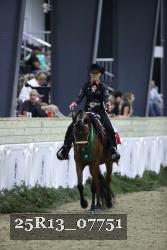 25R13_07751 thumbnail