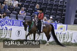 25R13_07760 thumbnail