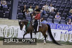 25R13_07761 thumbnail