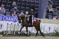 25R13_07765 thumbnail