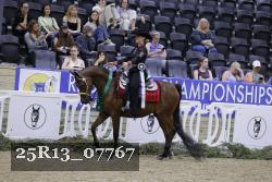 25R13_07767 thumbnail