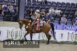 25R13_07781 thumbnail