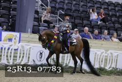 25R13_07783 thumbnail