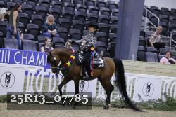 25R13_07785 thumbnail
