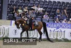 25R13_07787 thumbnail
