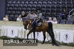 25R13_07791 thumbnail