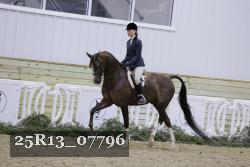 25R13_07796 thumbnail