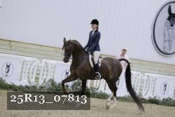 25R13_07813 thumbnail