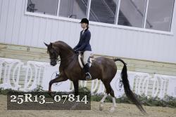 25R13_07814 thumbnail