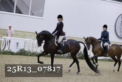25R13_07817 thumbnail