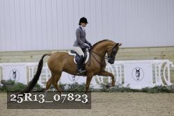 25R13_07823 thumbnail