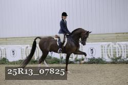 25R13_07825 thumbnail