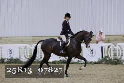 25R13_07827 thumbnail