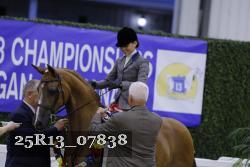 25R13_07838 thumbnail