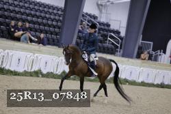 25R13_07848 thumbnail