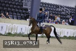 25R13_07851 thumbnail