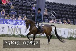 25R13_07852 thumbnail