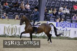 25R13_07854 thumbnail