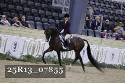 25R13_07855 thumbnail