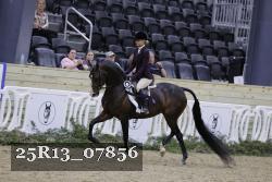 25R13_07856 thumbnail