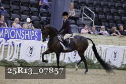 25R13_07857 thumbnail
