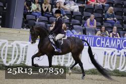 25R13_07859 thumbnail